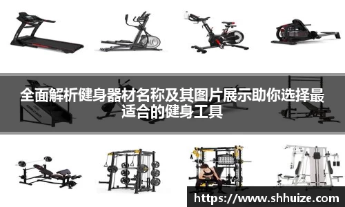 全面解析健身器材名称及其图片展示助你选择最适合的健身工具